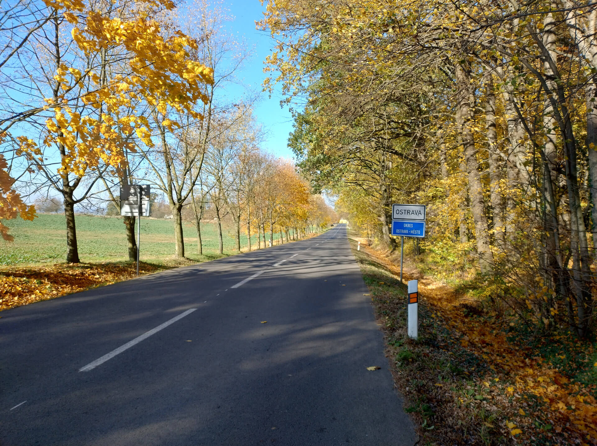 cesta lemovaná stromy v podzimu se značkou Proskovice a Město Ostrava